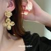 Silver Needle Premium Sense Metal Cold Wind Flower Earrings Exaggerated Design Sense Earrings Light Luxury Earrings Wholesale Women