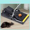 High Sensitivity Plastic Mouse Trap Home Use Alloy Plastic Mouse Catcher Small Iron Wire Mouse Trap
