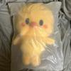 STRAY KIDS (Original Price) Skies Skiju Felix Poary Cheering Stick Bag Plush Backpack Fan Meeting MD