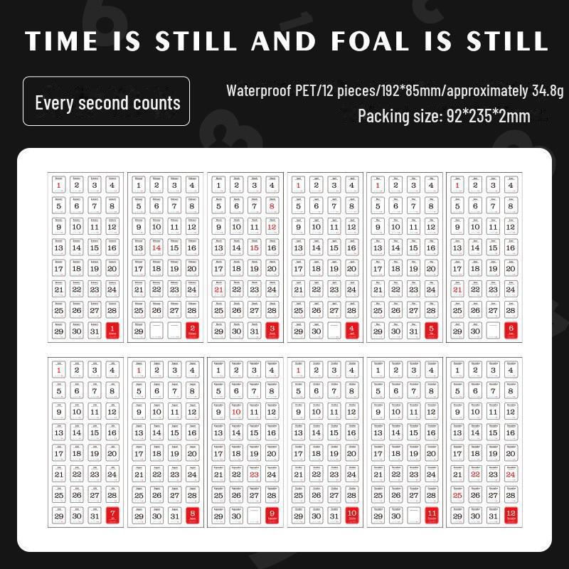 

Наклейки с 365-дневным календарем Юэчжэнь: Ежедневный декор для блокнота на самоклеющейся основе, набор из 12 предметов