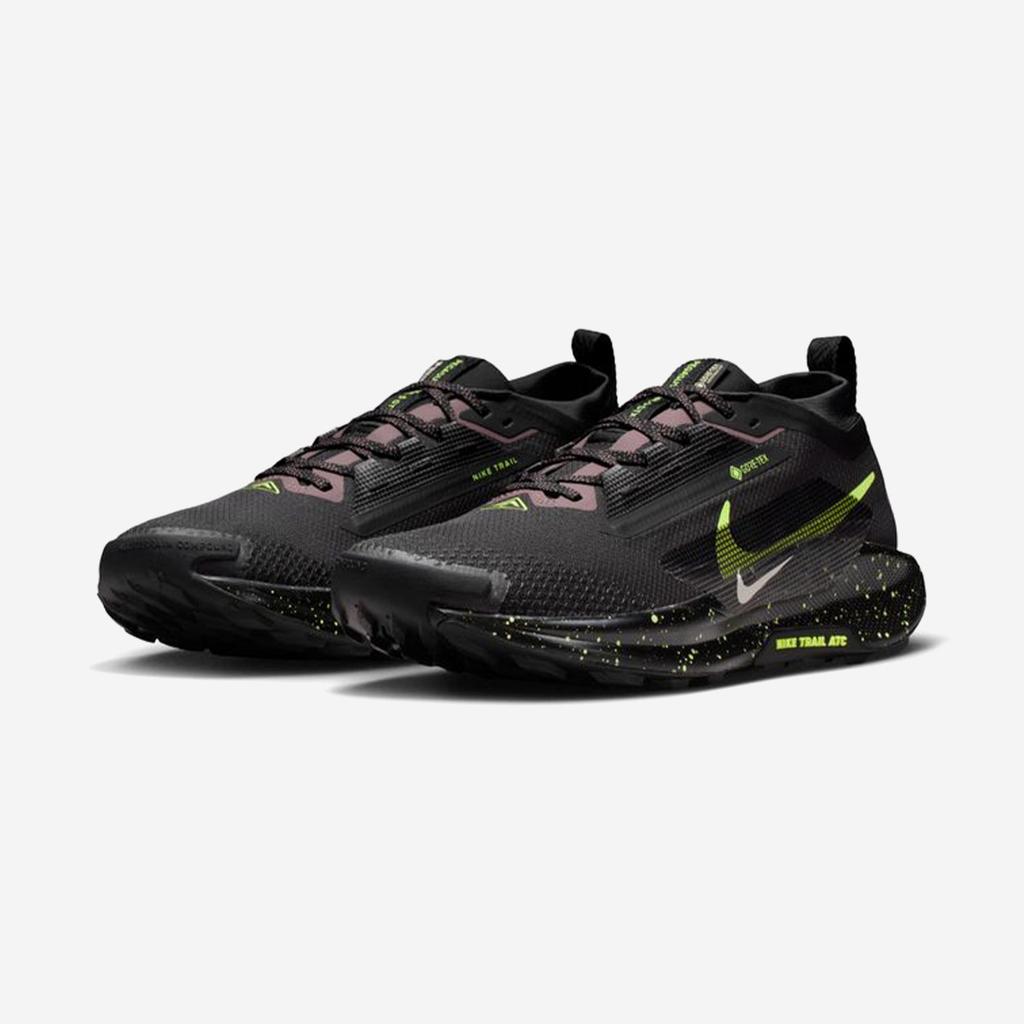 Nike Pegasus Trail 5 GORE-TEX [FQ0908-014]