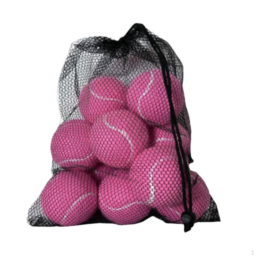 10 Pieces Tennis Balls with Storage Mesh Bag Workout for Pet Dog Adults Kids Yellow