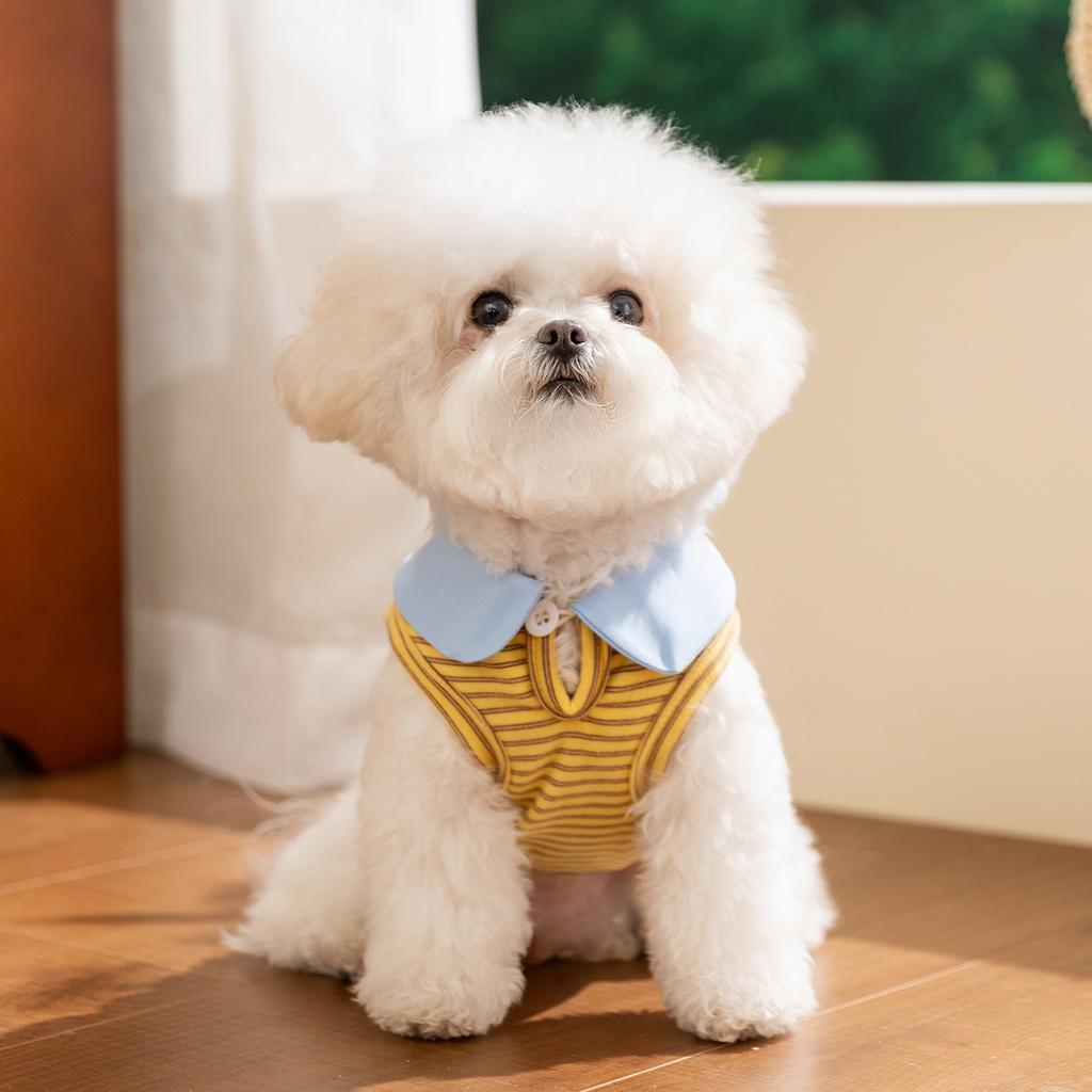 Frühling und Sommer neue Hundekleidung dreidimensionale Puppe gestreifte dünne Weste Katze Haustierkleidung