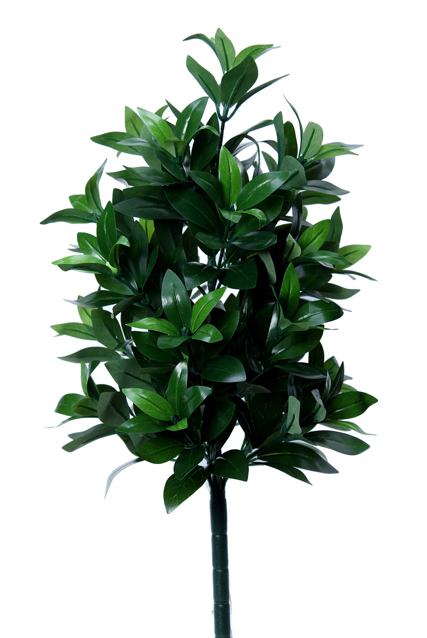 

Soka Gakkai Shikimi Artificial Flower, 1 stem, MS size (approx. 50cm long), comes in a special box to prevent deformation. Perfect for grave visits.