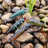 Fishing Lures Topwater Floating Popper Lure with Hooks Crankbait Bass Fishing Lures Baits
