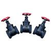Z15T-10/16 Cast Iron Threaded Gate Valve, DN15-50
