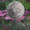 American Morgan Wanderer Silver Dollar Sexy Coin Commemorative Collectible Coin Gift Lucky Challenge Coin