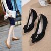 Women's Spring/Autumn Wedge Loafers: Comfortable Pointed Toe with Hidden Height and Soft Sole