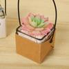 Kraft Paper Plantpot Waterproof Pot Mini Plant Container with Handle Cactus Succulent Desk Shelves Decorations Garden Supply ZYF