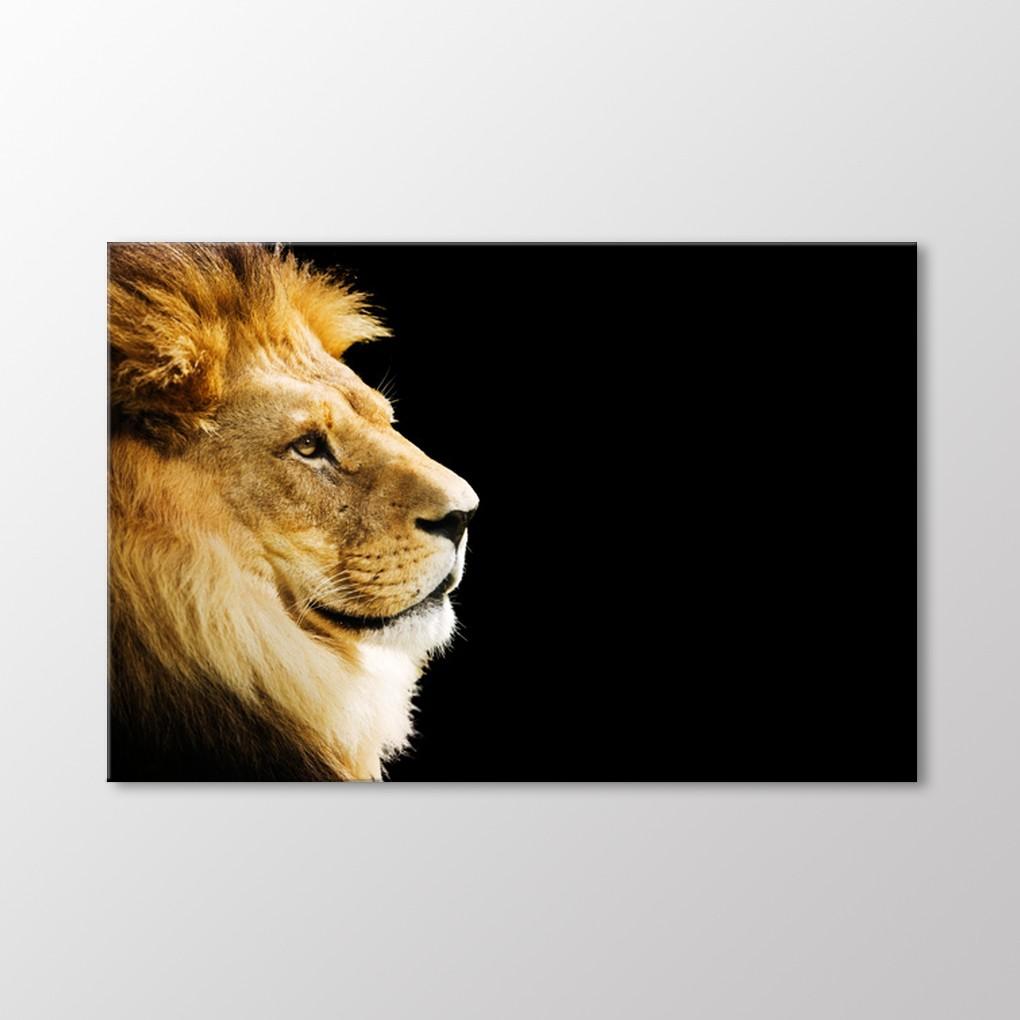 

Лев Живопись