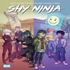 Shy Ninja by Adara Sanchez Hardback Book 9781643378633