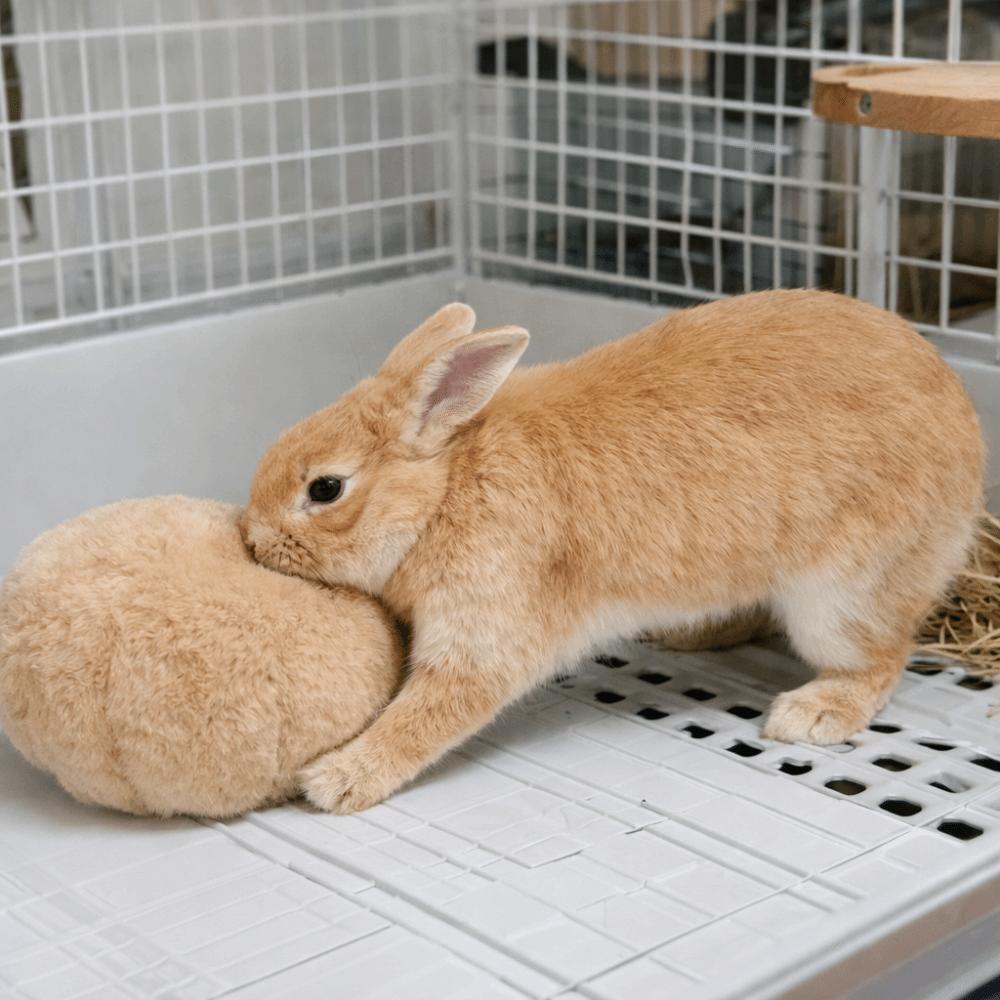 Bite Resistant Rabbit Soothing Ball Simulated Rabbit Buttocks Soft Pet Chewable Ball Comfortable Rabbit Venting Ball