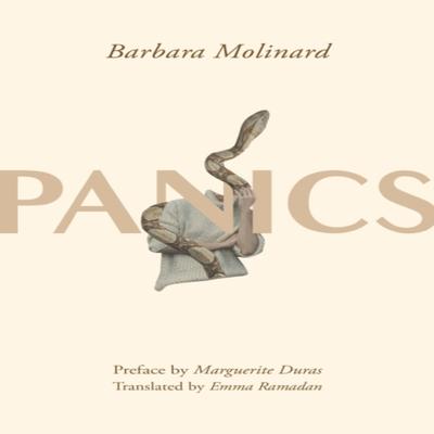 Panics von Barbara Molinard Taschenbuch 9781558612952