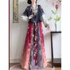 Chinese Tang Dynasty Beizi Hanfu Set, Printed Cardigan Ethnic Style One-Piece Waist Skirt Daily Wear