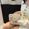 Acrylic shell bag 2025 new European and American fashion ice crack net red single shoulder women's chain dinner bag tide