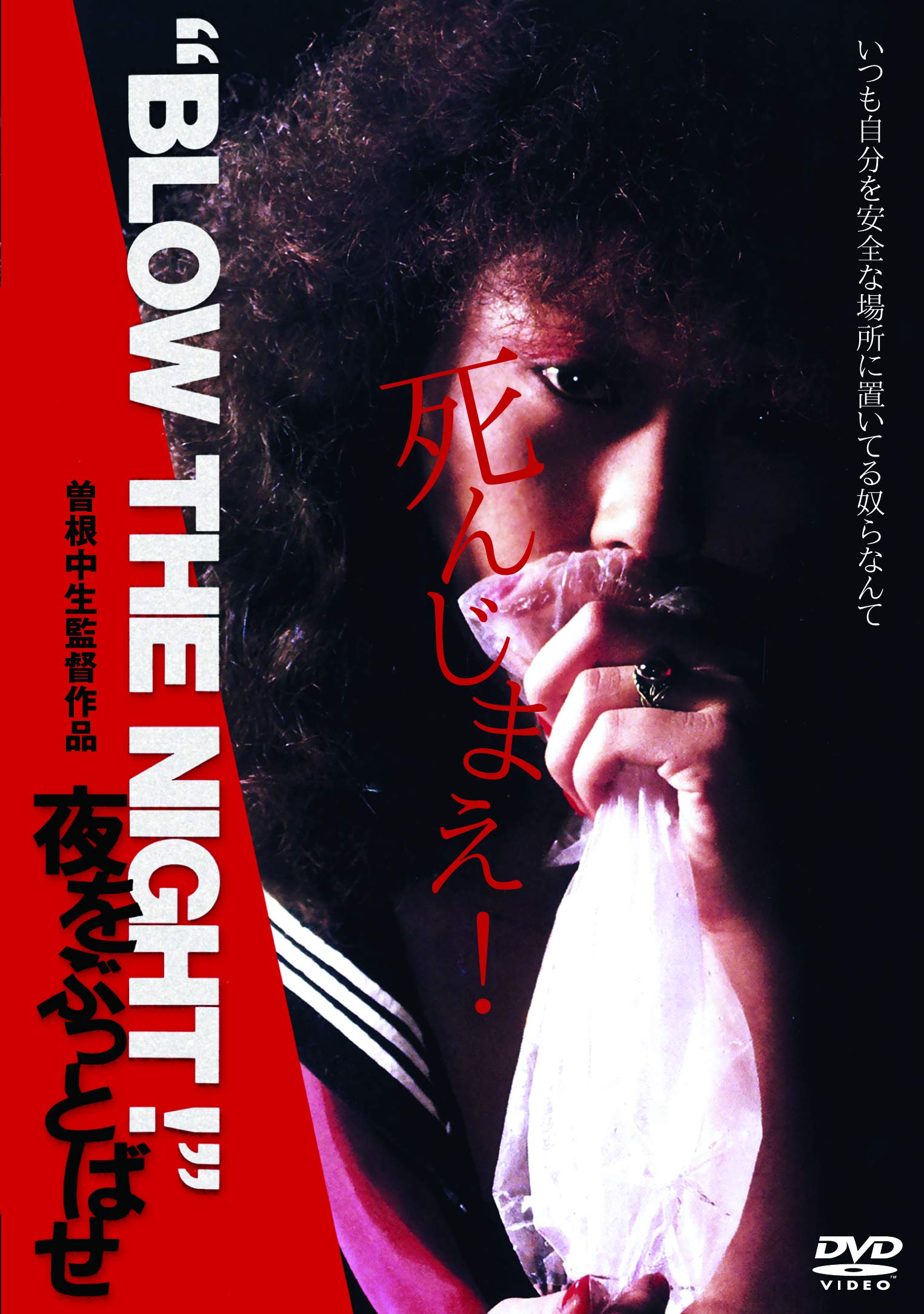 

THE Blow the Night “BLOW NIGHT!” [DVD]