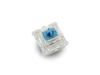 FILCO CHERRY MX2A RGB 5-Pin Switches, Blue, Pack of 70, for RGB Keyboards with Clear Cases (FKSW70CHMC-RZ)