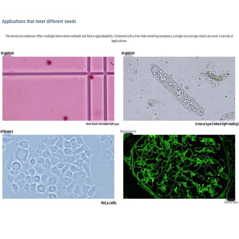Olympus CX23 Upright Binocular Biological Microscope