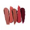 M A C Gold stAndArd MAtte lipstiCk Kit 5 pACk