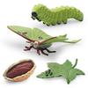 Simulation Insect Animal 4Pcs Luna Moth Growth Cycle Model Long-Tailed Silkworm Moth Water Clear Moth Growth Process Ornament