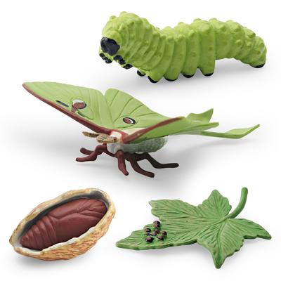 Simulation Insect Animal 4Pcs Luna Moth Growth Cycle Model Long-Tailed Silkworm Moth Water Clear Moth Growth Process Ornament