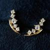 1 Pair of Elegant and Shiny Synthetic Zircon Earrings for Women, Suitable for Daily Wear, Fashionable Jewelry for Parties and Banquets
