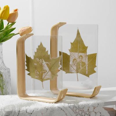Double-sided Acrylic Photo Frame, Creative Ornaments, Plant Specimen, Album Storage, Decorative Ornaments