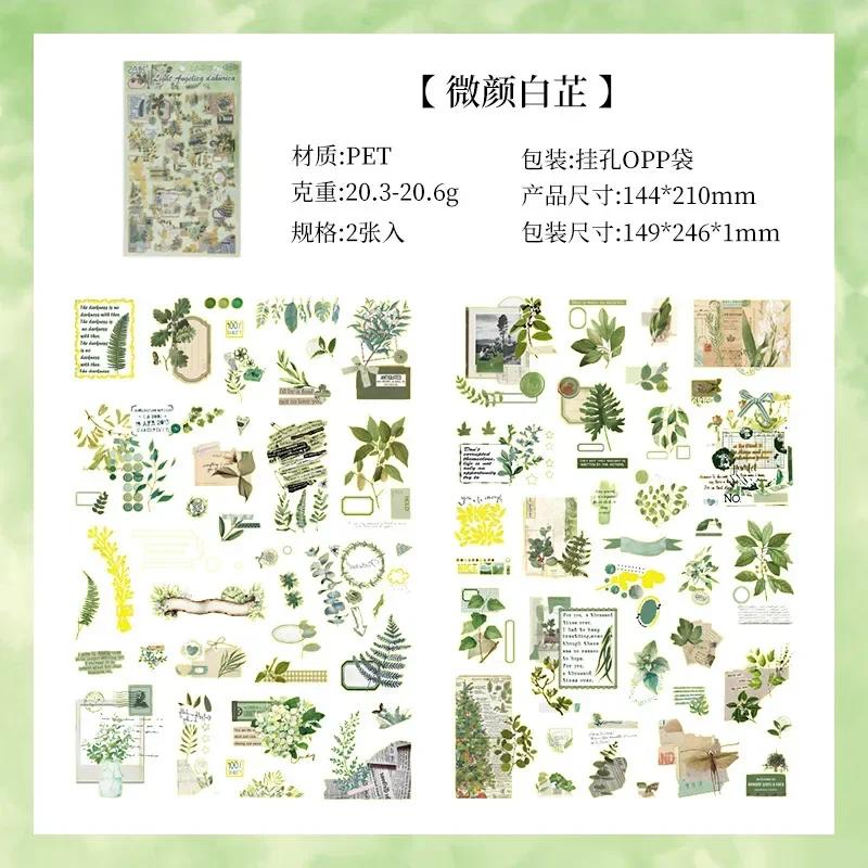 2 Sheetspack Fleeting Pictorial Clear Pet Retro Bronzing Die-Cut Stickers Diy Creative Collage Scrapbooking Journaling Material