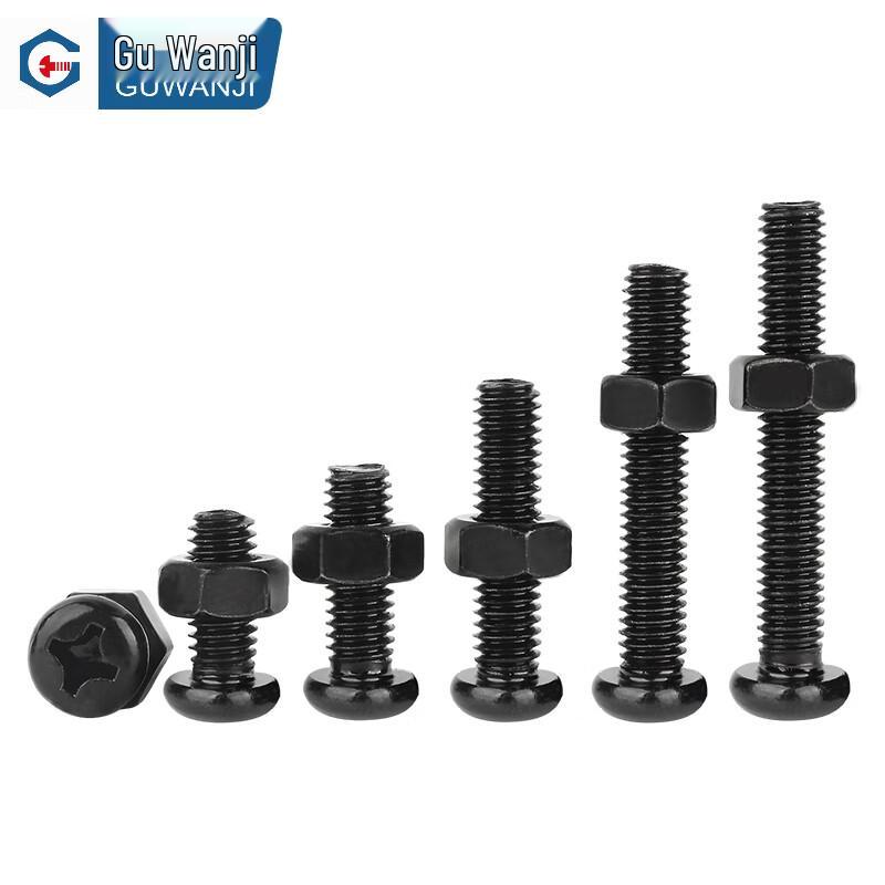 GUWANJI Cross Recessed Pan Head Screw and Hex Nut Kit