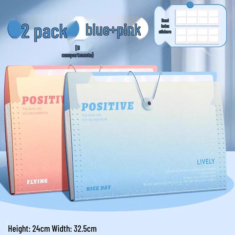 A4 Portable Accordion File Folder with Handle, 2-Pack