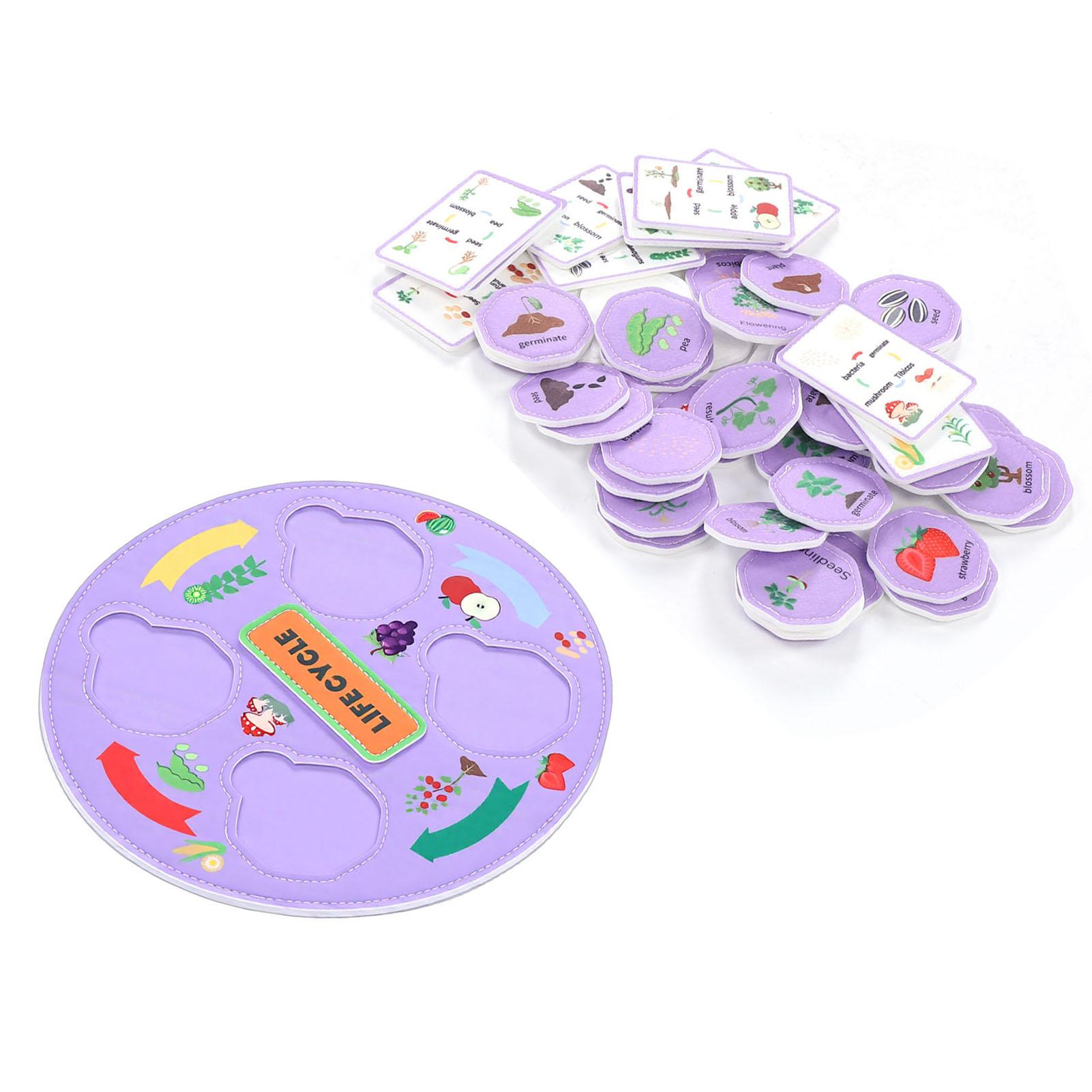Life Cycle Toys for Kids Preschool Learning Interactive Plant Life Cycle Puzzle Educational Science Kit