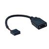 USB2.0 9PIN To Type E Motherboard Header Cable With Convenient Front Type C Connectors For Desktop Compatibility