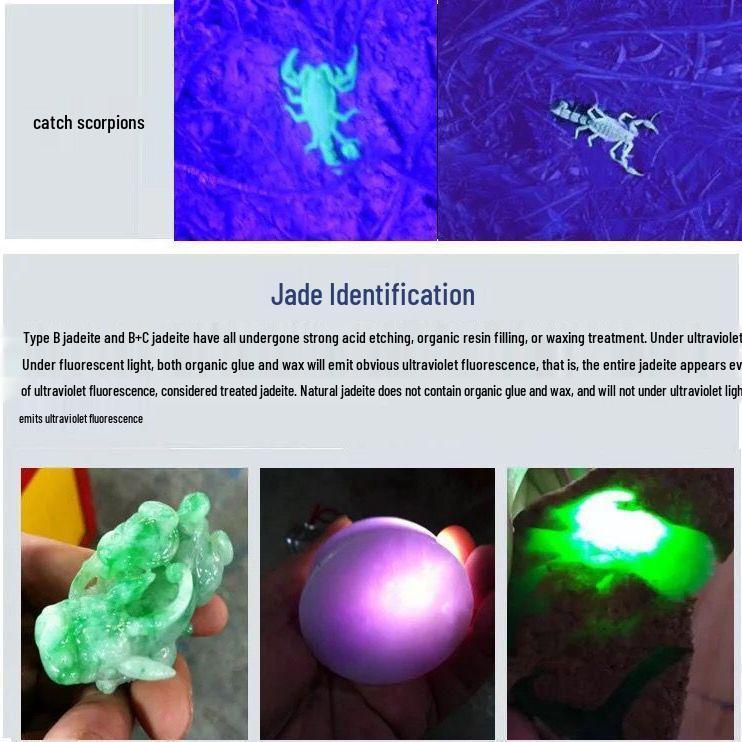 51 LED Lila Licht Taschenlampe - Aluminiumlegierung Geld- & Schmuckdetektor, Skorpion-Identifikation.