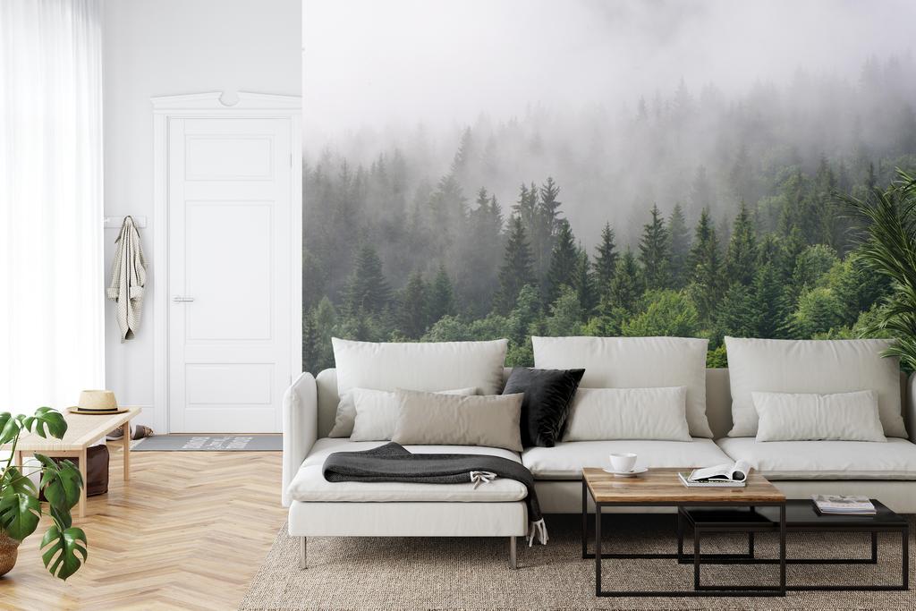 Photomural Trees In The Mist Non-Woven 312x219