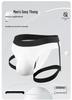 Men's Sheer Ice Silk Temptation Thong