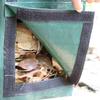 Outdoor Composting Leaves Bag PE Waste Bag Durable Planting Bag  Garden Planting Use