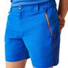 Regatta Childrens/Kids Sorcer Mountain III Shorts