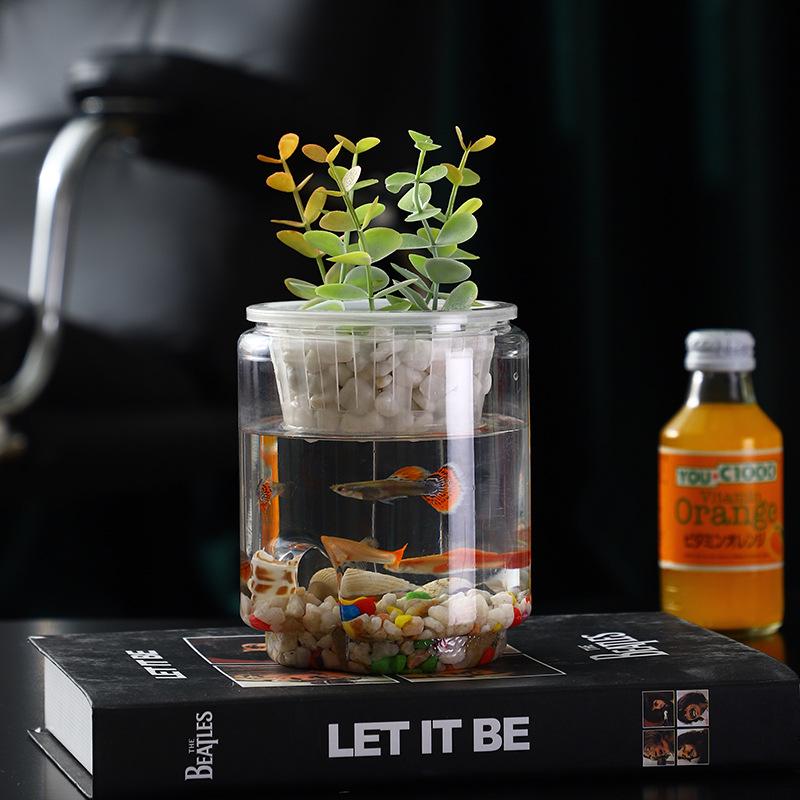 Umweltfreundliches Betta-Fischaquarium: Dekoratives Stapelbecken für Wohnzimmer oder Büro - Geeignet für Goldfische