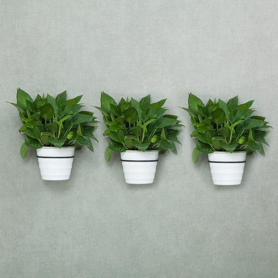 Practical Good Loading Flowerpot Holder Ring Wall Mounted Easy Install Metal Planter Holder Ring for Home