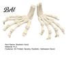Indoor Halloween Display Ornaments Skeleton Hands, 3D Printed Hand Bones Model, Realistic Scary Props for Decorations Spooky Bone Claw Prop Party Home
