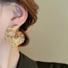 Exaggerated Geometric Patterns Earrings Ear Jewelry Zinc Zinc Alloy Stud Earrings  Party Decoration