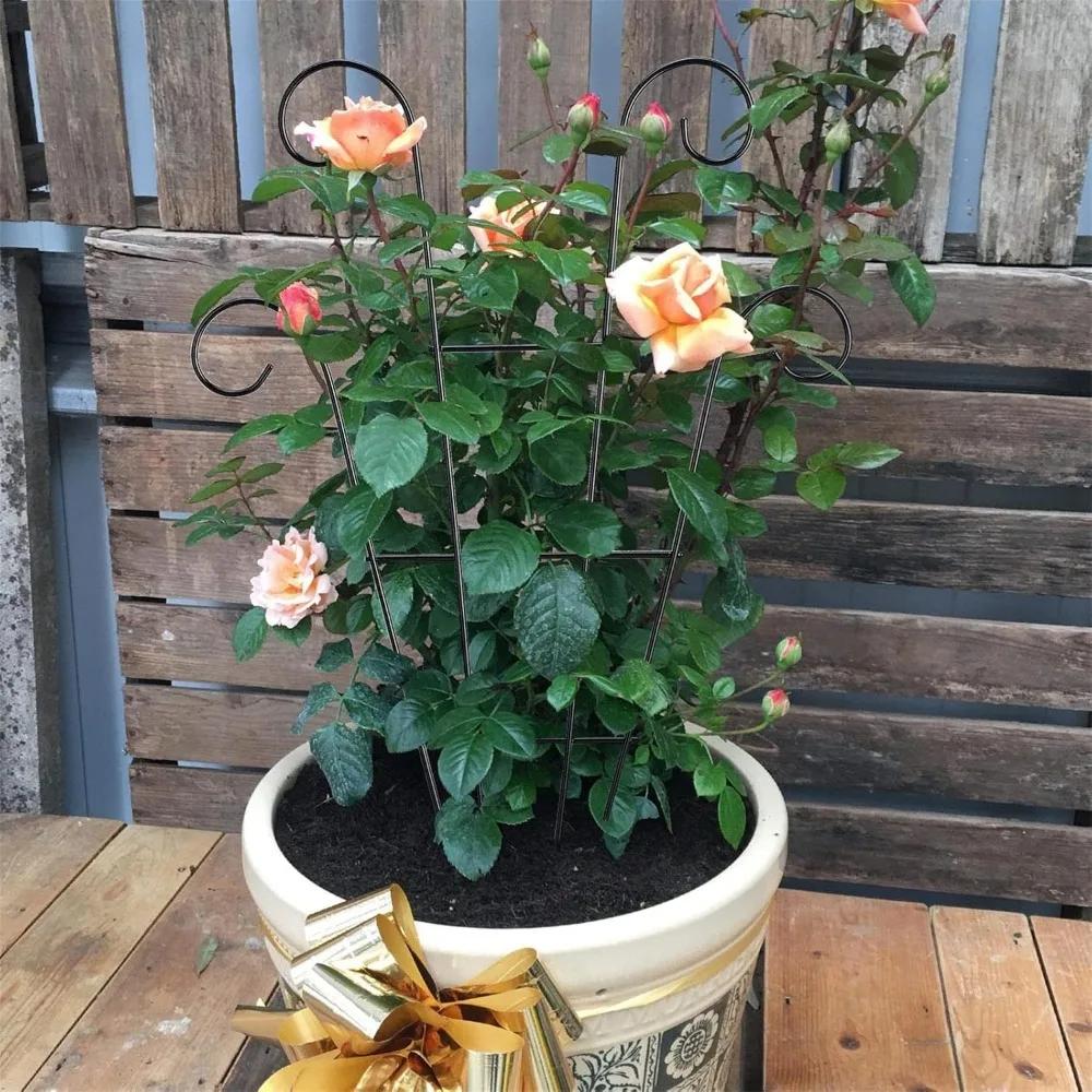 2 Outdoor Climbing Plant Trellises, Black Trellises, Garden Metal Support Piles, Indoor and Outdoor Grape Blossom Vegetables