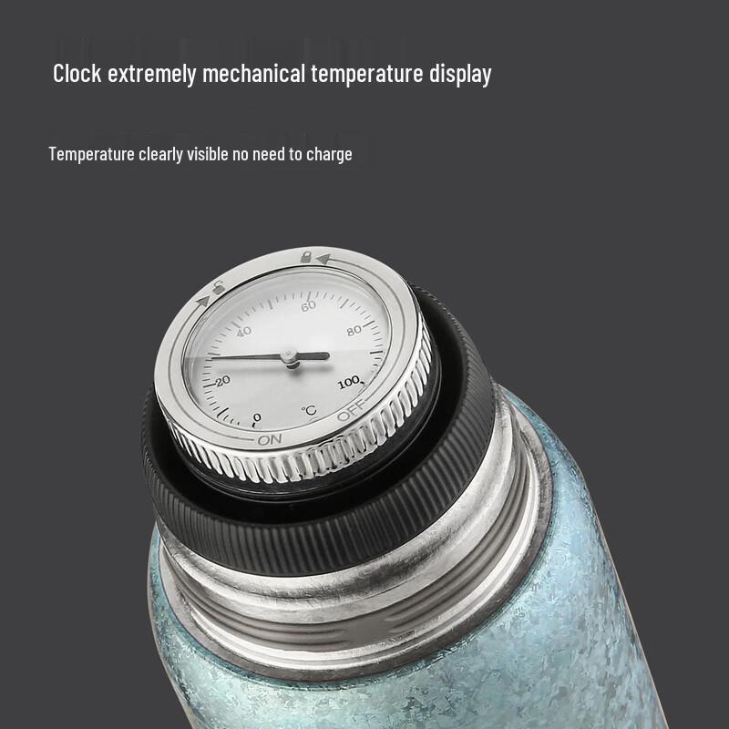 MCCULLEN Pure Titanium Tea Infuser Vacuum Flask with Temp Display