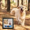 Pet Memorial Picture Frame 9x9Inch Wood Photo Frame for Loss of Dog Cats Sympathy Gift Dog Collar Souvenir Photo Sign