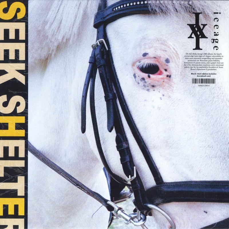 

LP Record ICEAGE - Seek Shelter MEX290 Mexican Summer 2021 US Rock