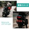HI-LINE Motorcycle LED Tail Lamp, Brake Lamp, 12 V, General Purpose, Strong Red/Weak Red,