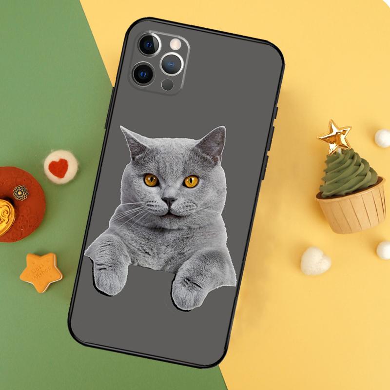 British Shorthair Cat Phone Case For iPhone 17 16 14 13 12 11 15 Pro Max 12 13 Mini 16E 17 Air Shockproof Cover