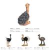 Childrens Bird Animal Model Pvc Realistic Australian Ostrich Baby Figurine For Educational Play And Farm Decor