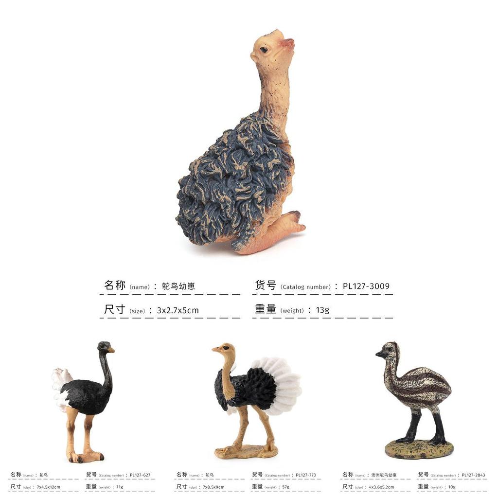 Childrens Bird Animal Model Pvc Realistic Australian Ostrich Baby Figurine For Educational Play And Farm Decor