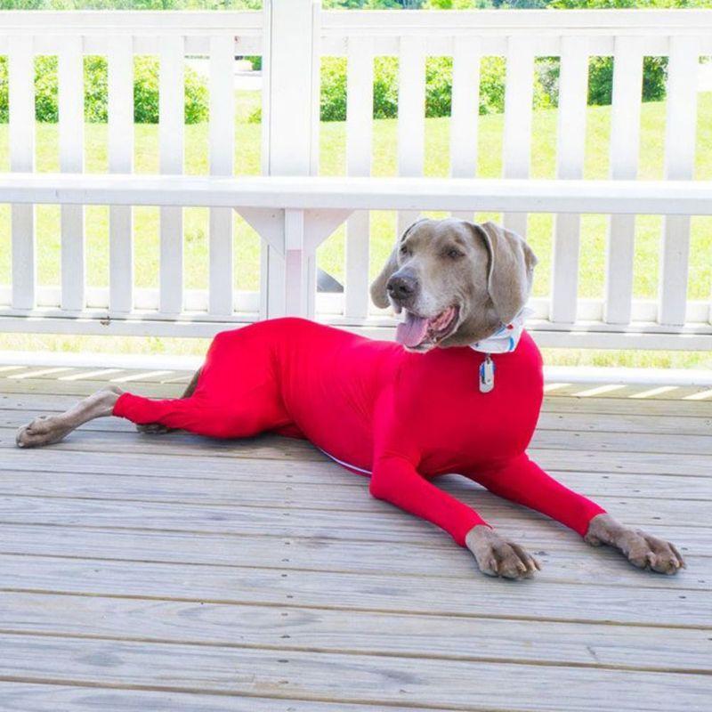 Solid Color Dog Surgery Recovery Suit Soft Polyester Pet Dog Onesie Clothes Comfortable Dog Pajamas 4-leg Pet Clothing Outdoor